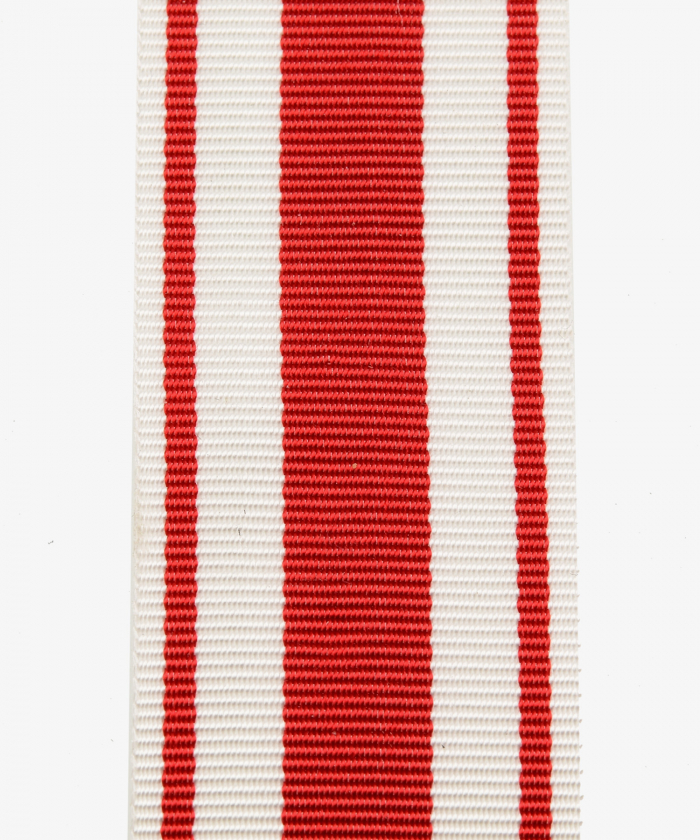 Fire Brigade Badge of Honor of the Thuringian Fire Brigade Association 1920 (247)